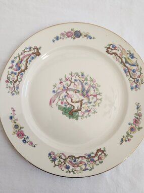 Vintage Rosenthal Continental Bavaria Ivory 18 Dinner Plate